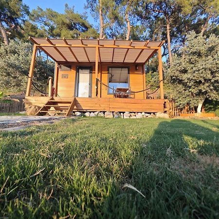 Готель Tiny Mini House Даламан Екстер'єр фото