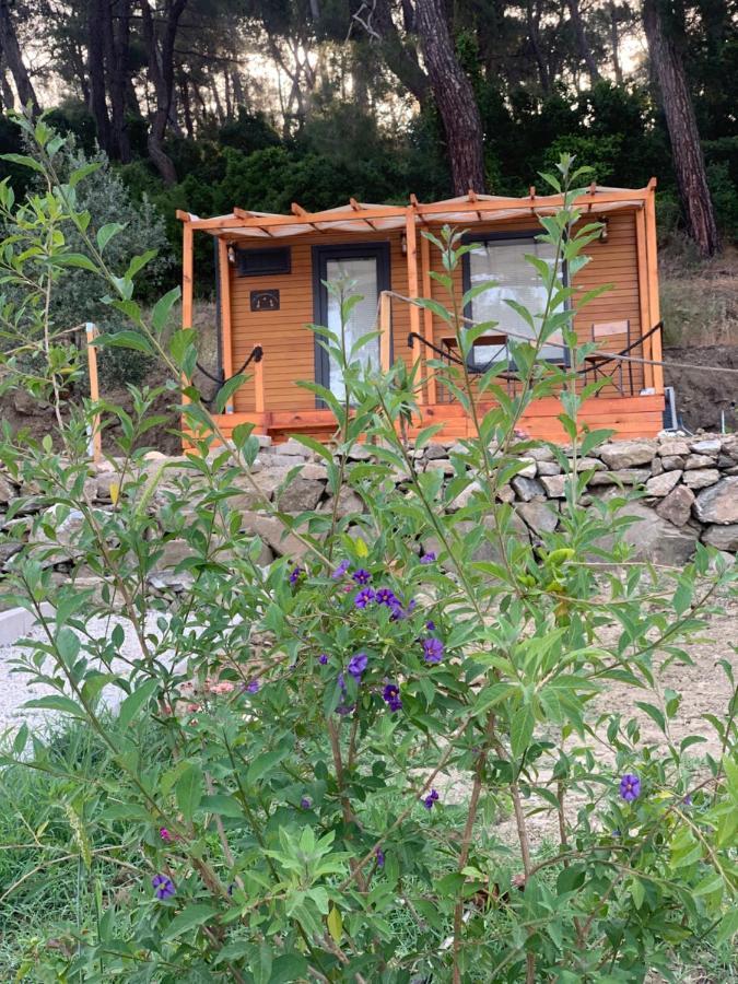 Готель Tiny Mini House Даламан Екстер'єр фото