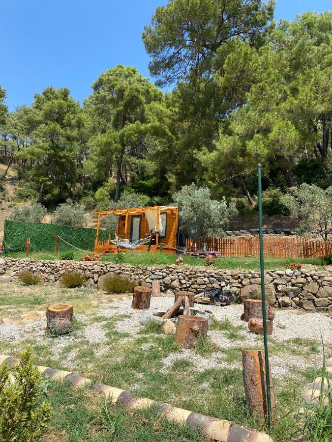 Готель Tiny Mini House Даламан Екстер'єр фото