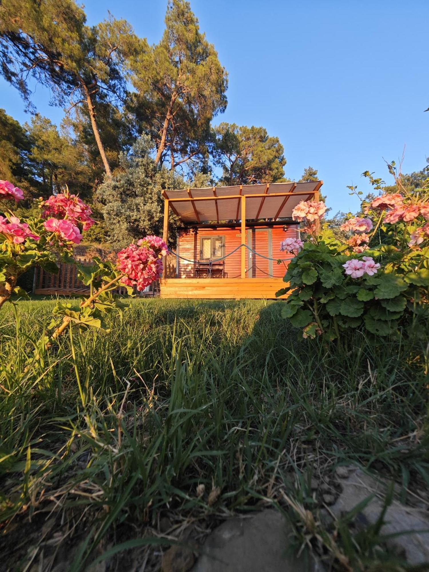 Готель Tiny Mini House Даламан Екстер'єр фото
