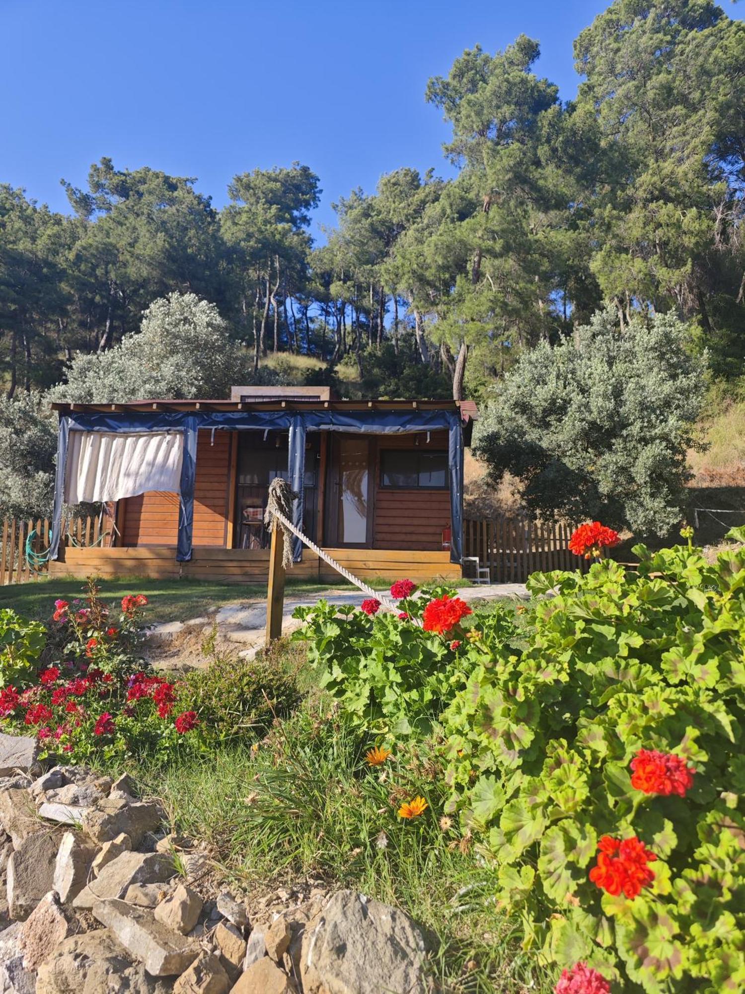 Готель Tiny Mini House Даламан Екстер'єр фото